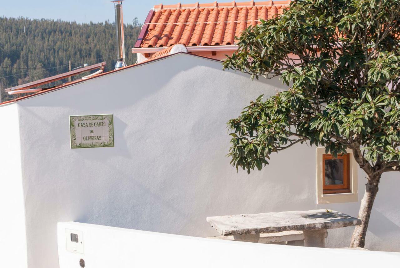 Casa De Campo De Oliveiras 페넬라 외부 사진